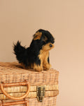 Yorkie Teacup Dog Stuffed Animal