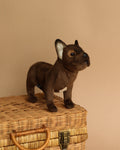 French Bulldog Stuffed Animal