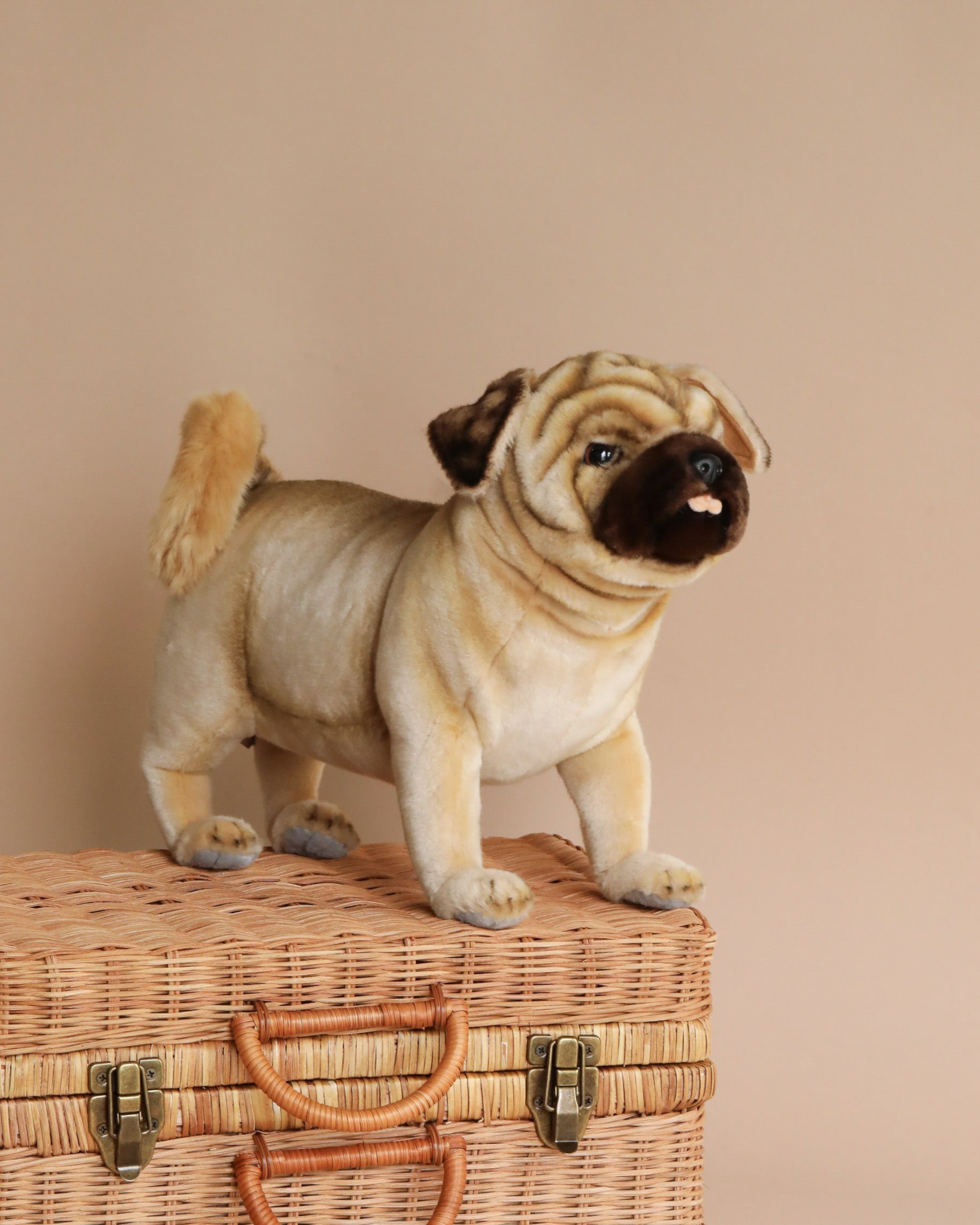 Pug Dog Stuffed Animal