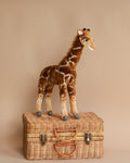 Giraffe Stuffed Animal