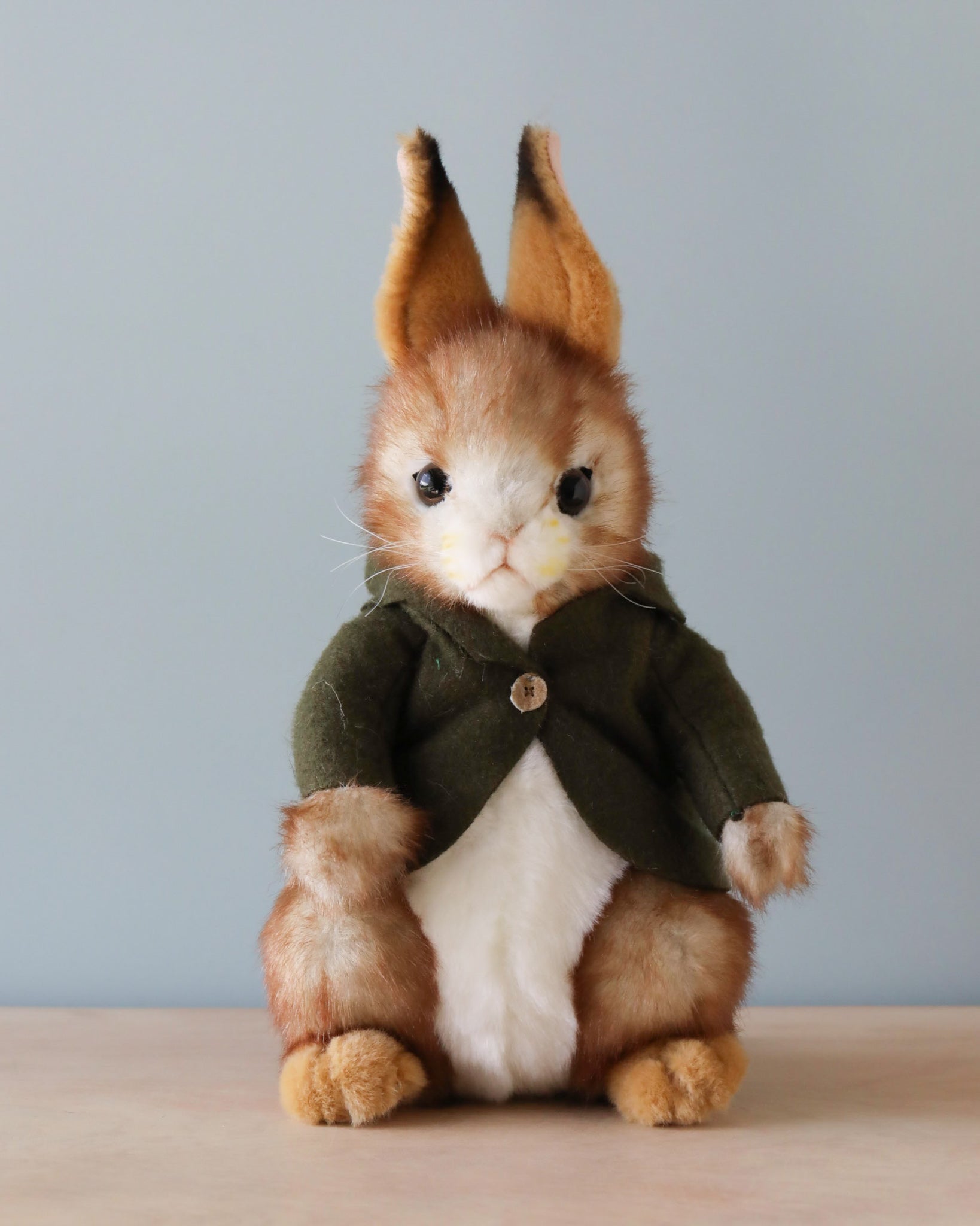 Bunny With Green Jacket Stuffed Animal