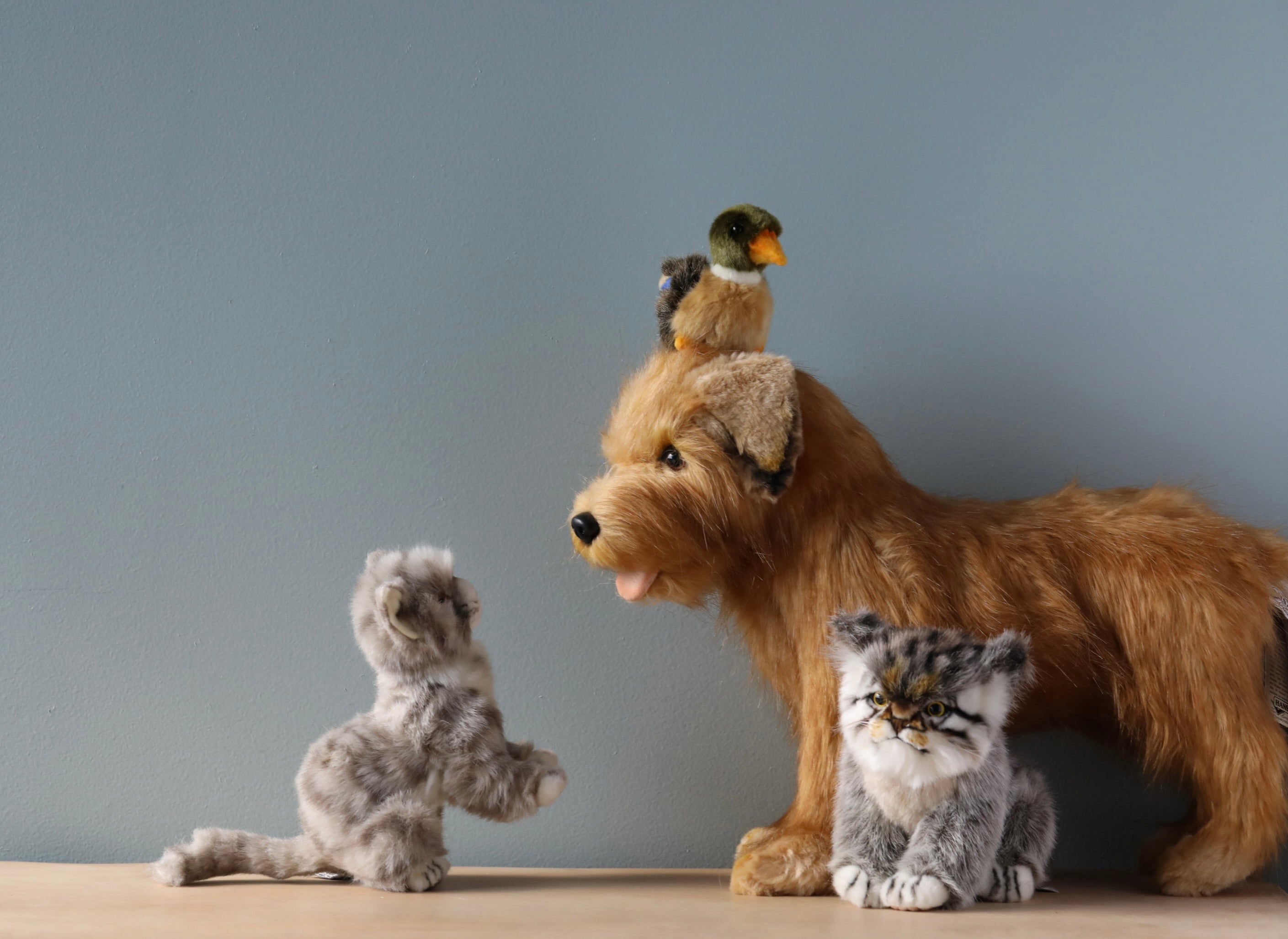Pallas Kitten Stuffed Animal