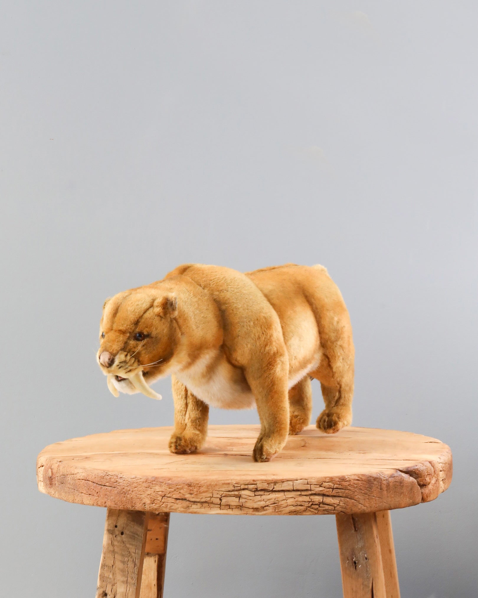 Saber Tooth Tiger Stuffed Animal