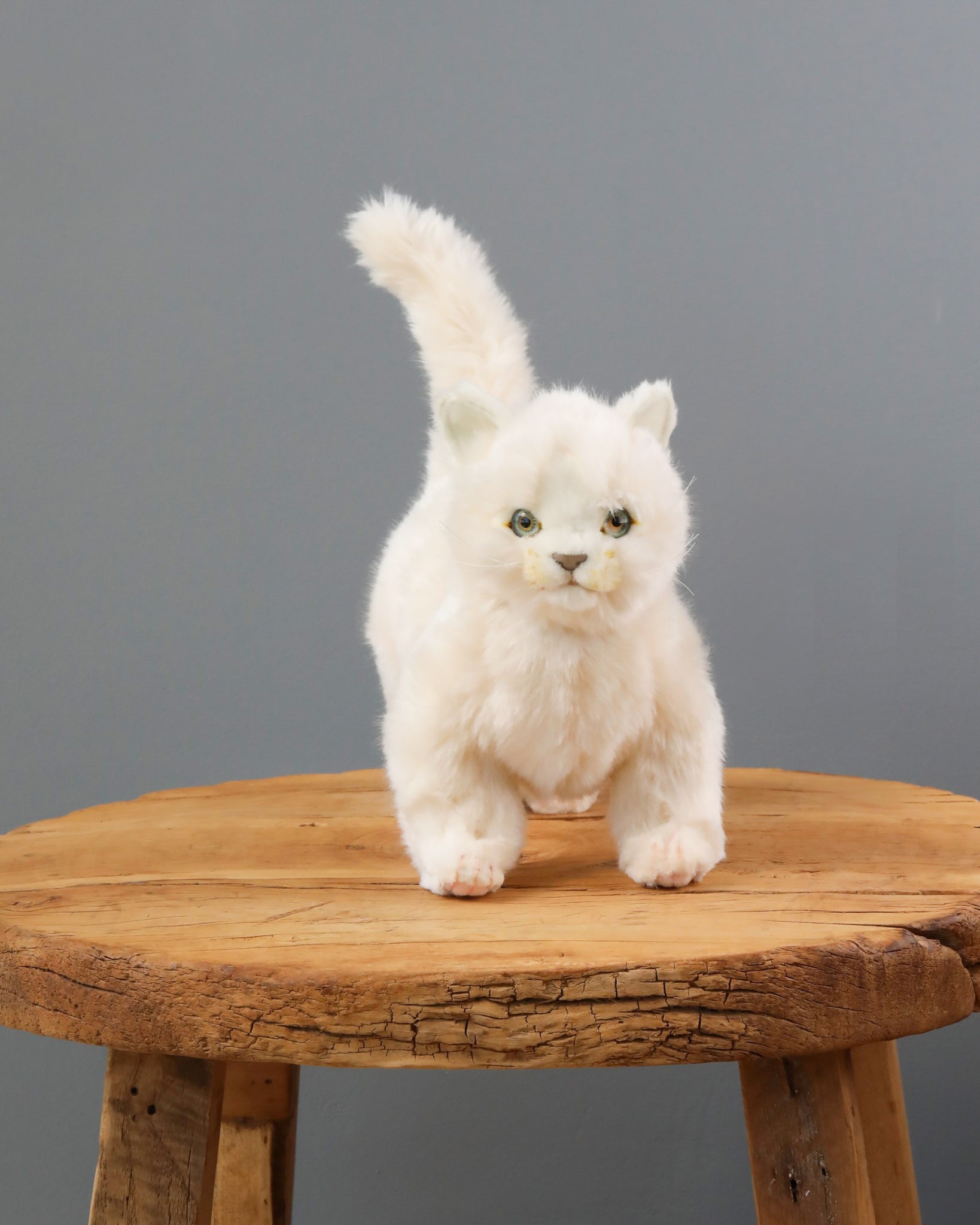 White Cat Stuffed Animal