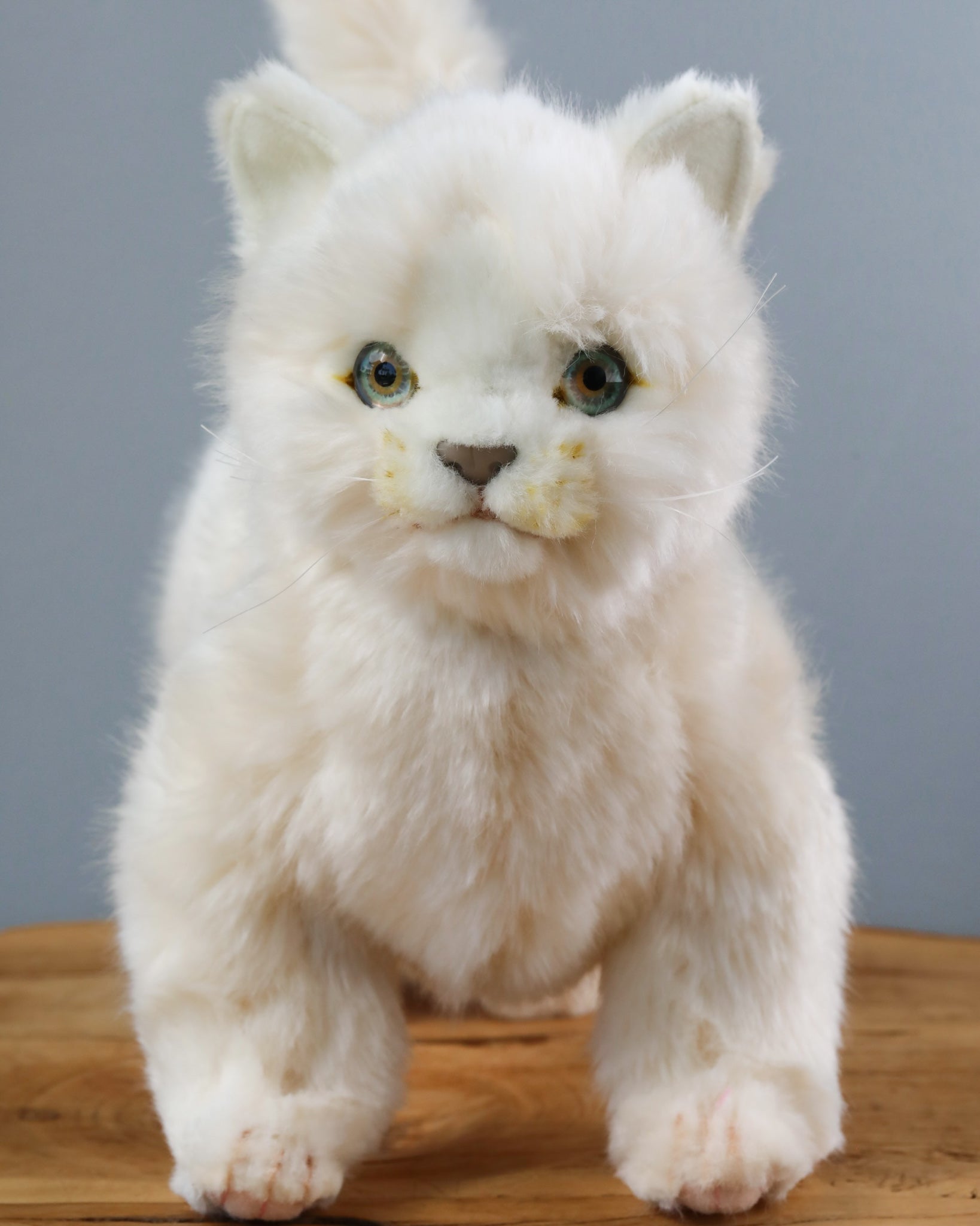 White Cat Stuffed Animal