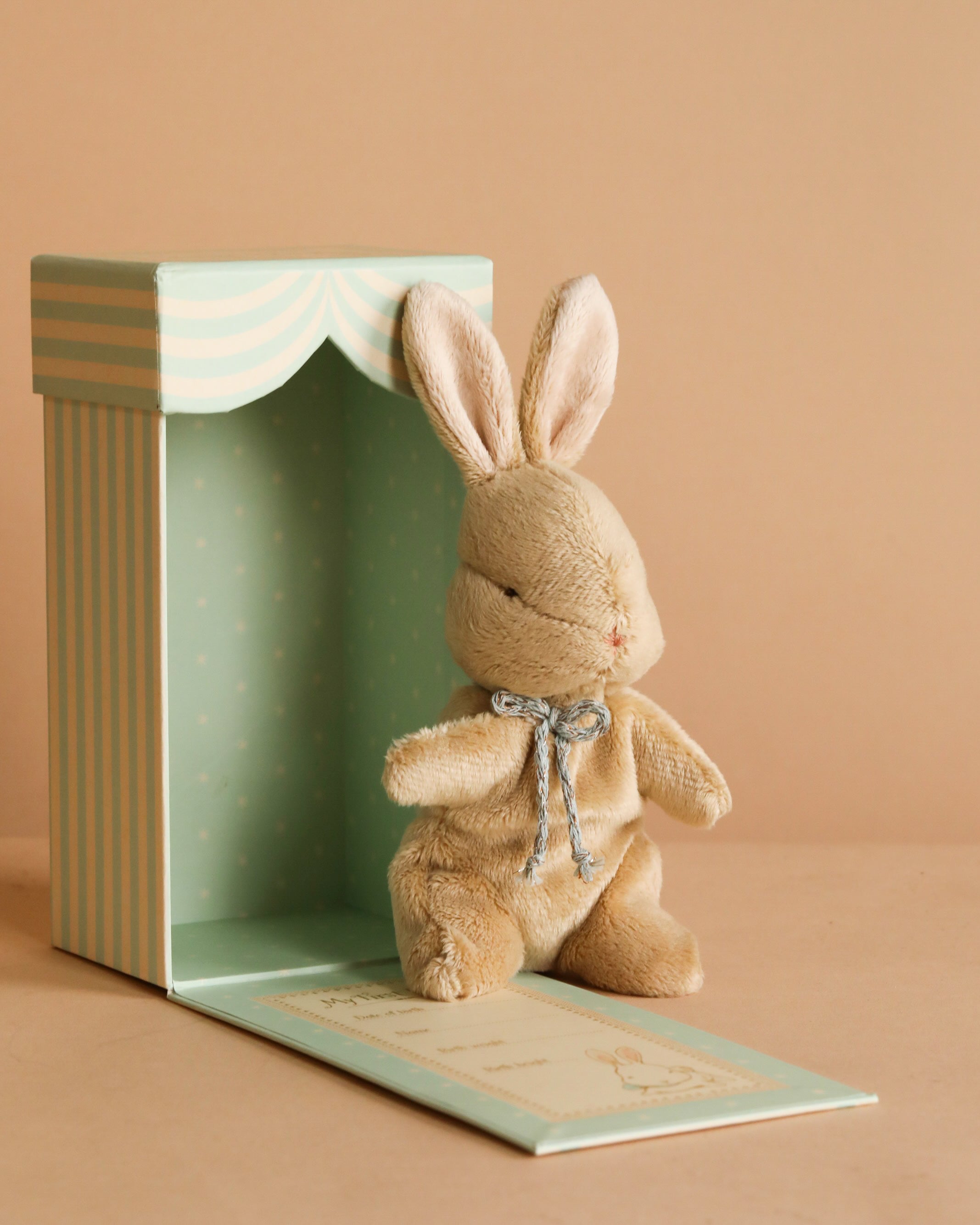 My First Bunny - Brown