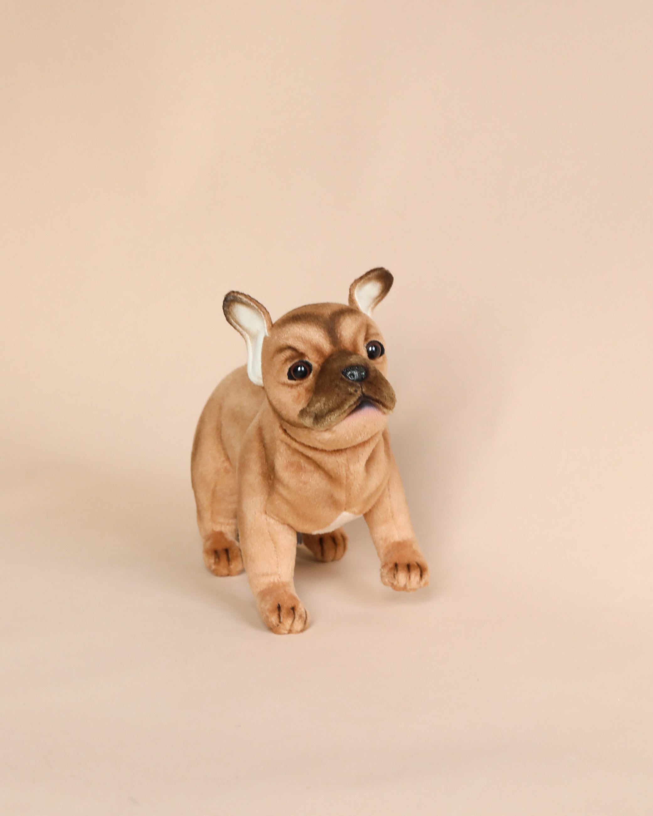 French Bulldog Beige Stuffed Animal