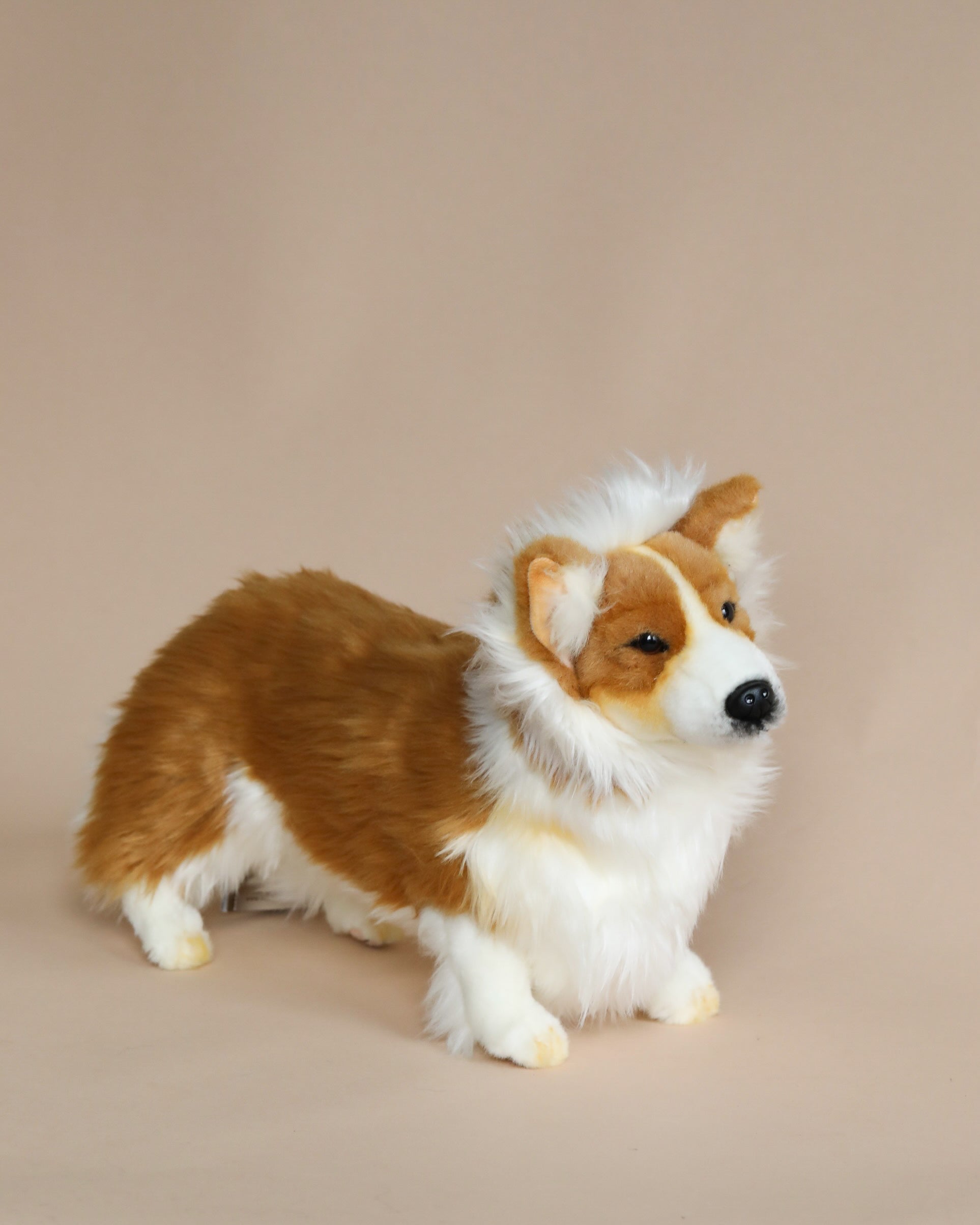 Welsh Corgi Dog Stuffed Animal