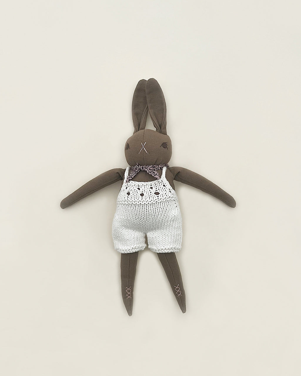 Brown Rabbit in Hand Knit Overalls