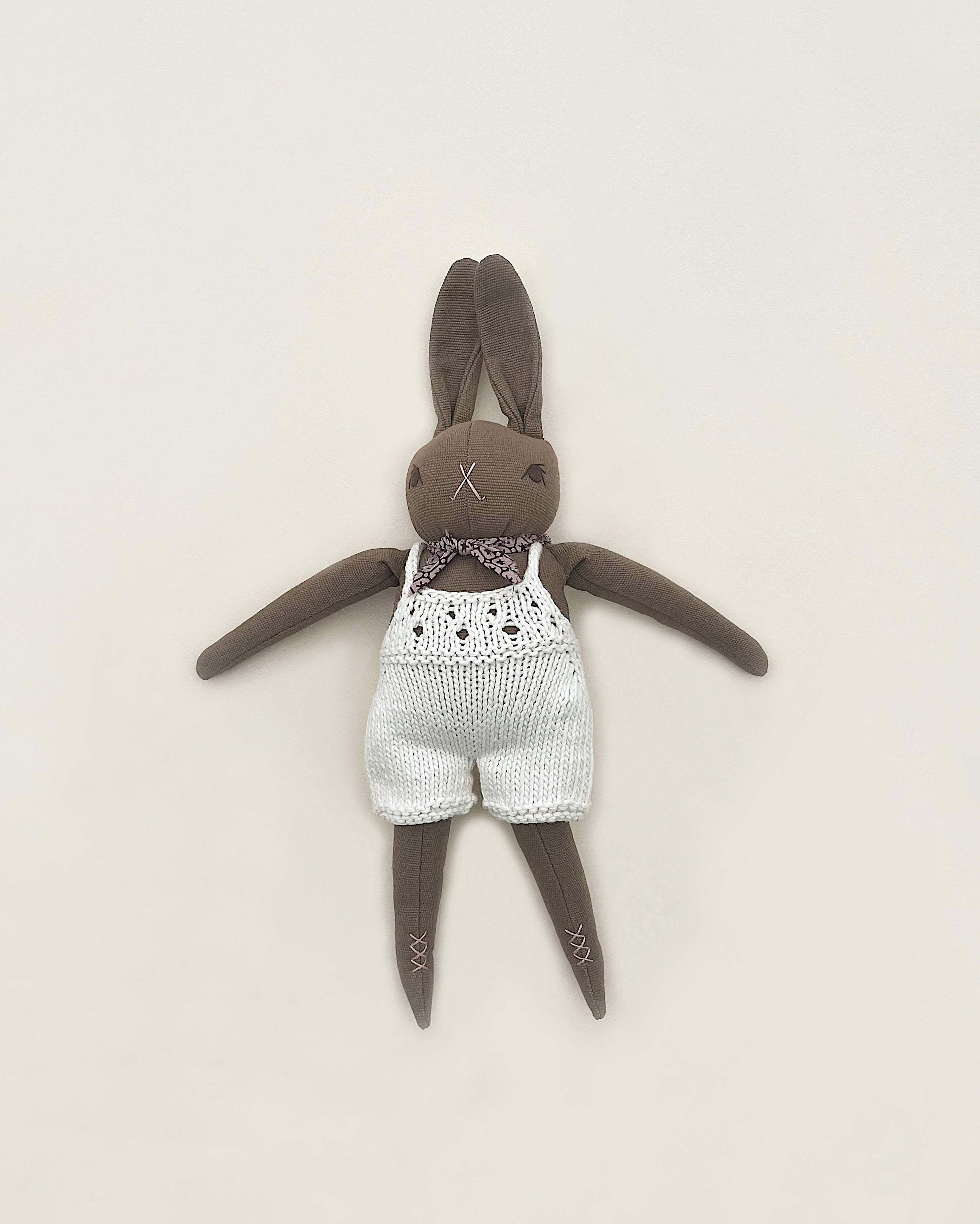 Brown Rabbit in Hand Knit Overalls